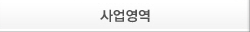 사업영역