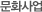문화사업