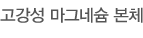 고강성 마그네슘 본체